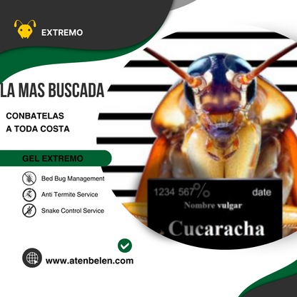 MATA CUCARACHA EXTREMO